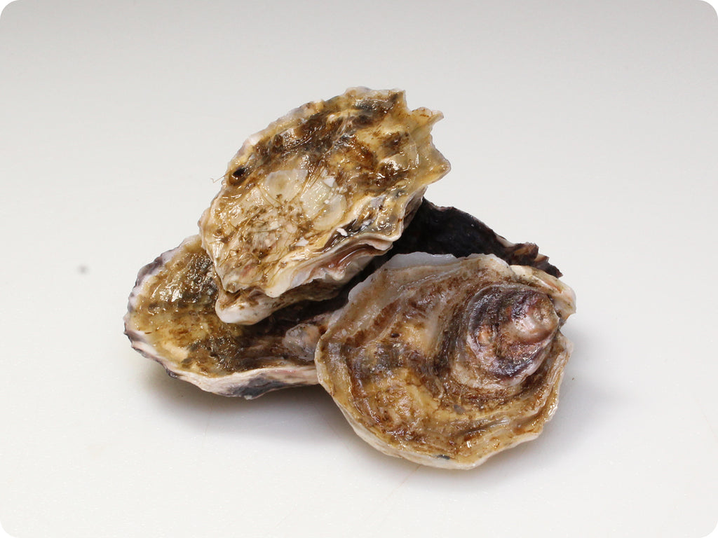 oishi oysters live on cutting board