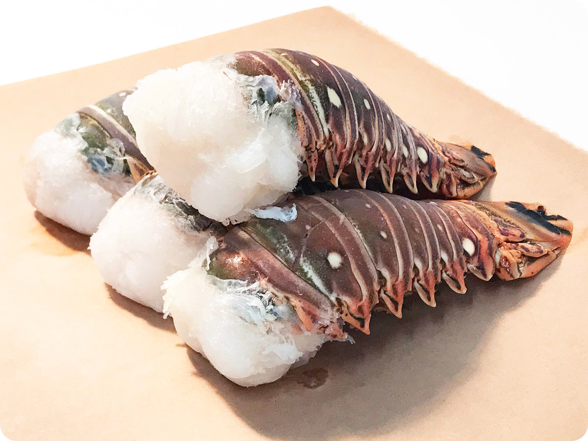 Warm Water Lobster Tails (Caribbean, XL) by the pound Big Alaska Seafood