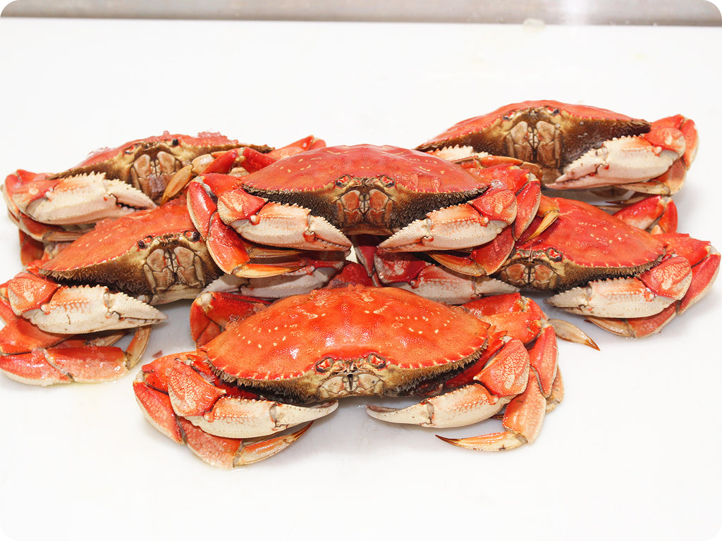 fresh whole-cooked dungeness crab