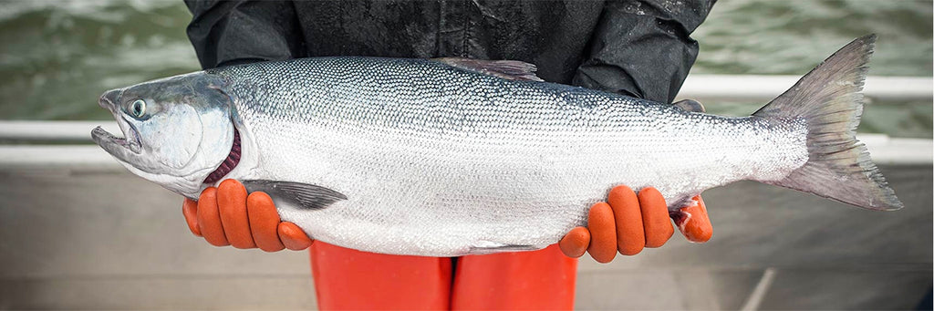 Whole Wild Salmon being held and sustainability is the message