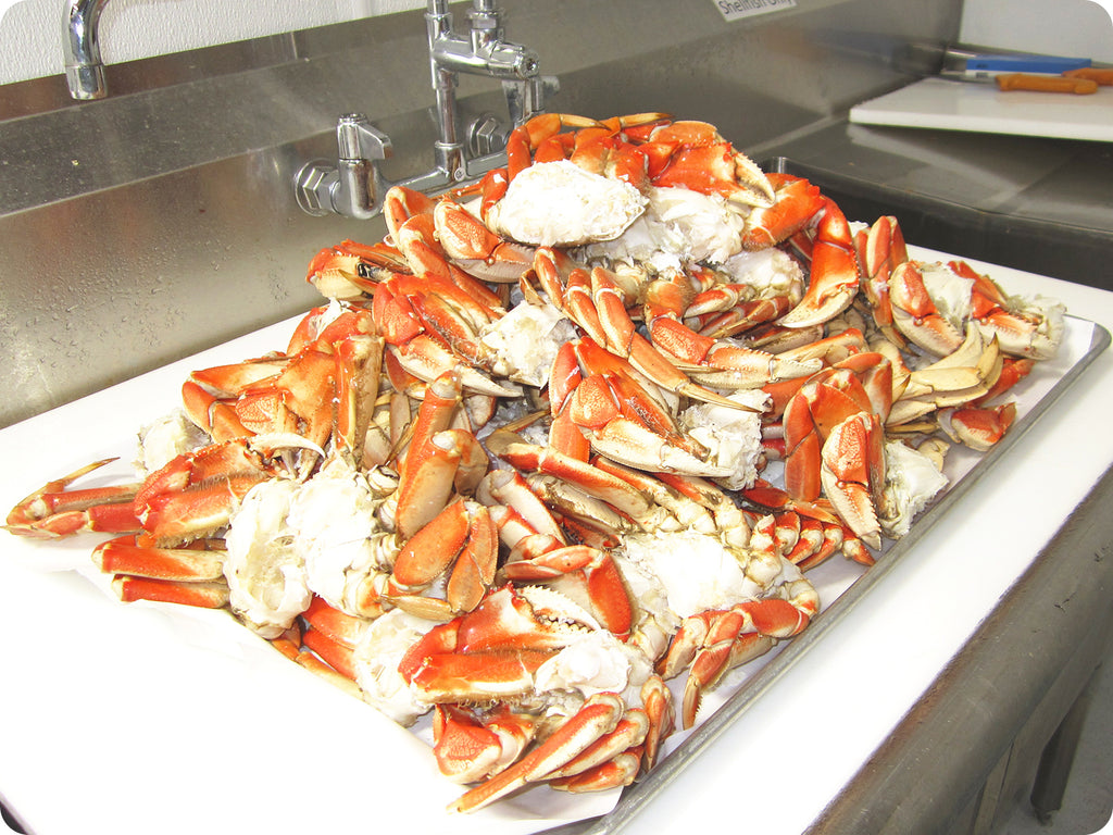 fresh dungeness crab