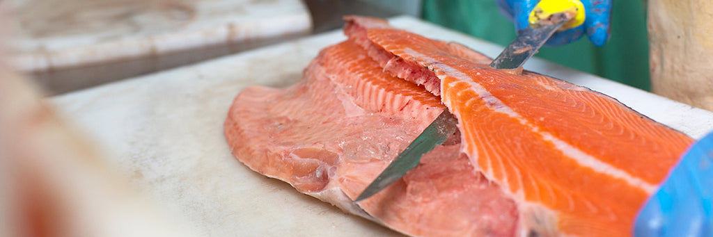 King Salmon being filleted