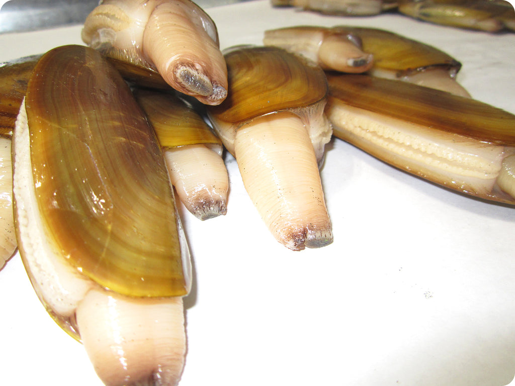 fresh local razor clams