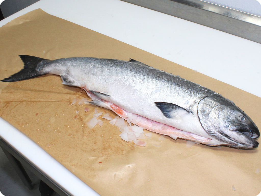 fresh wild king salmon whole