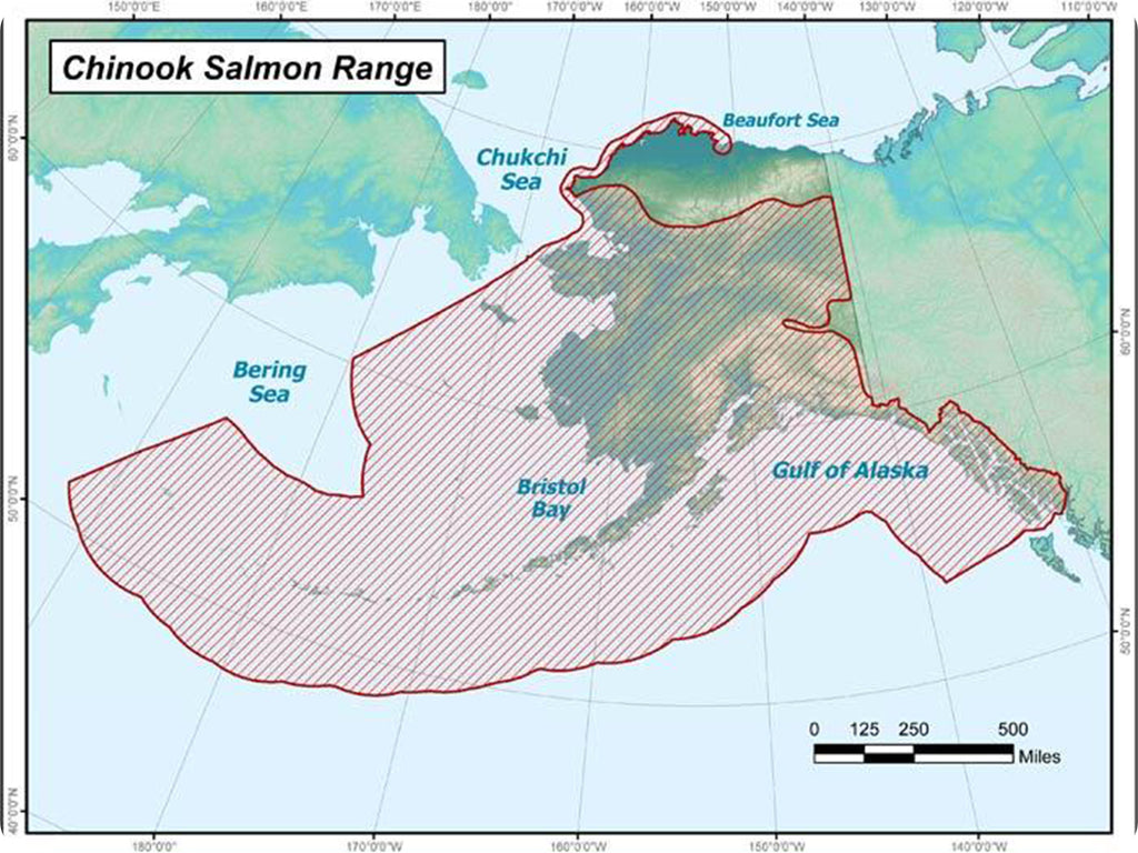 wild king salmon map range alaska