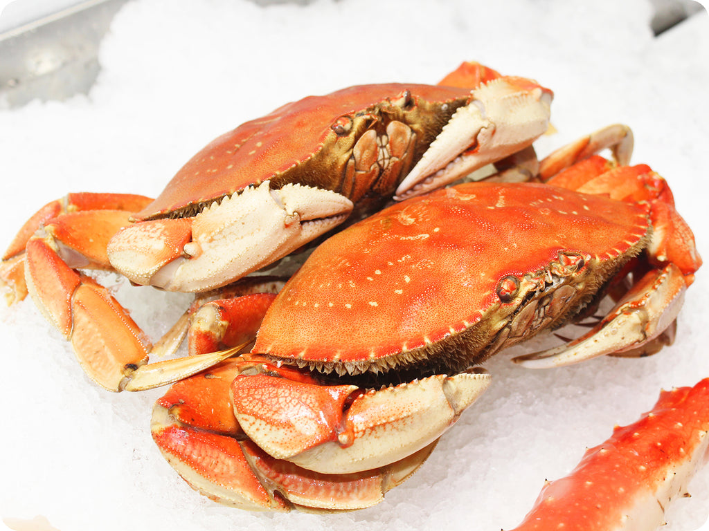 display of fresh dungeness crab