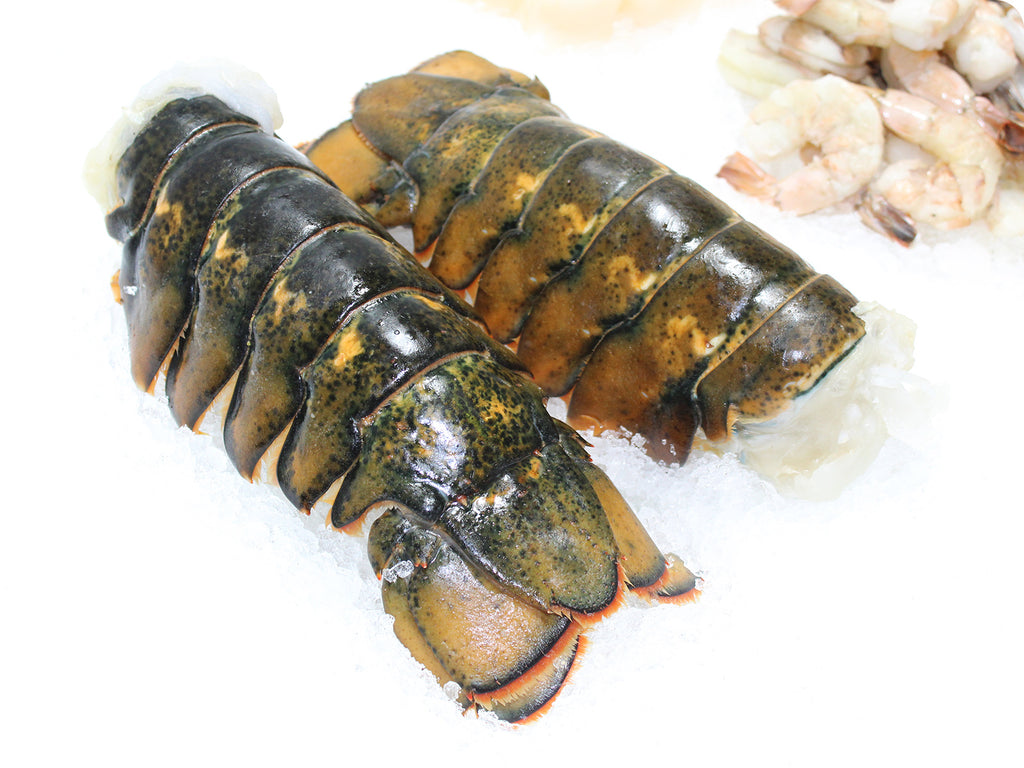 display of fresh lobster and seafood