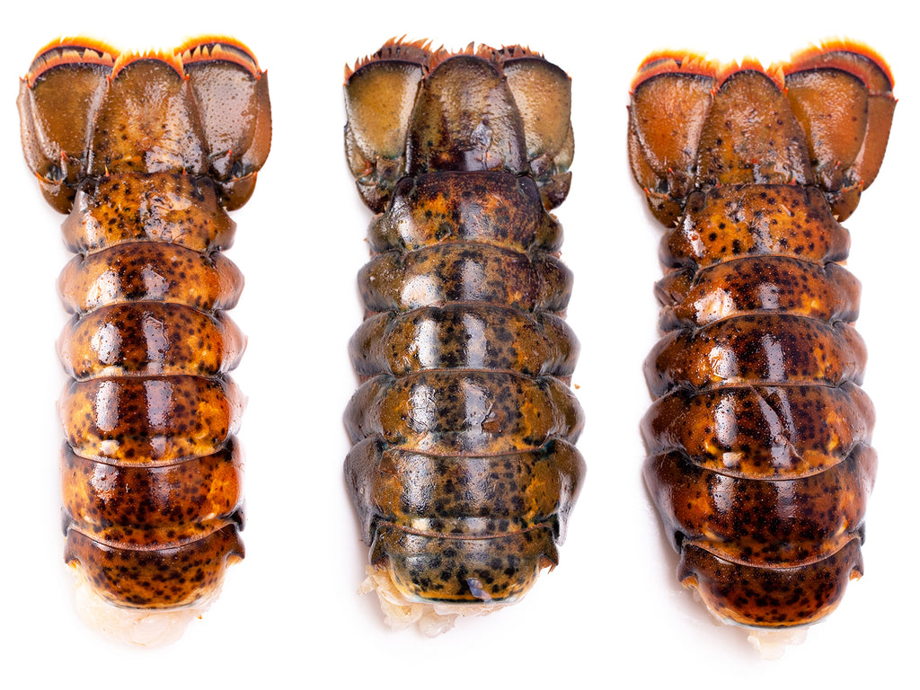 Three Maine lobster tails.