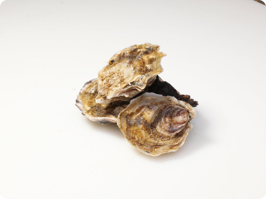 oishi oysters live on cutting board