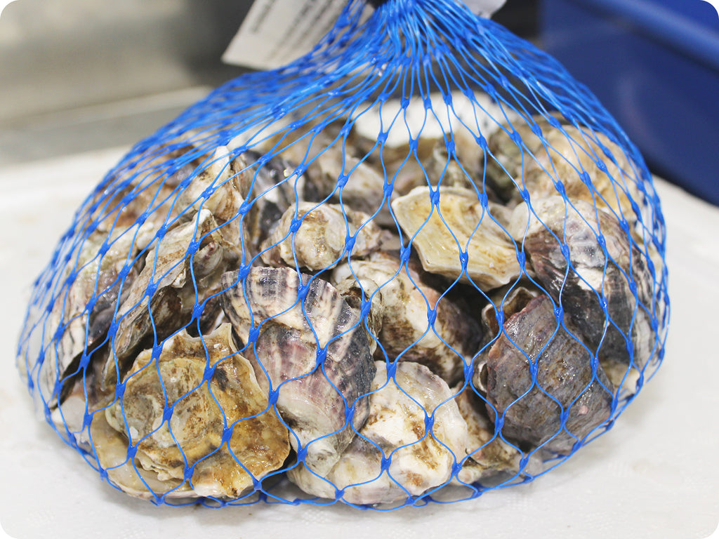 oishi oysters live in a blue mesh bag