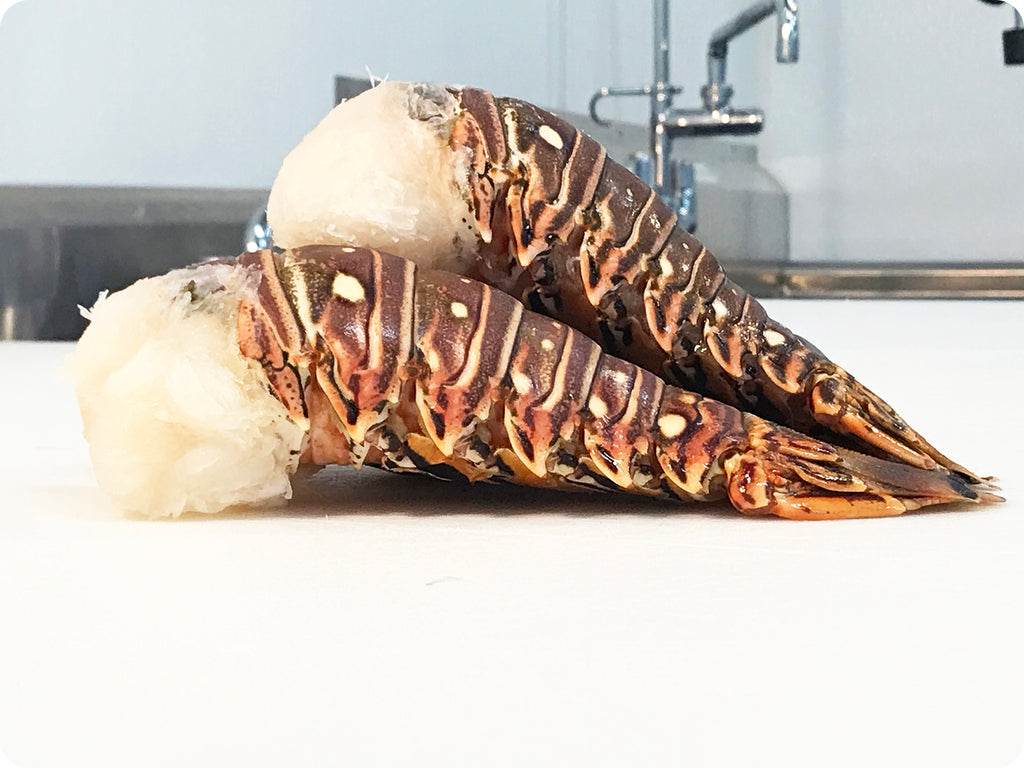 jumbo warm water lobster tails