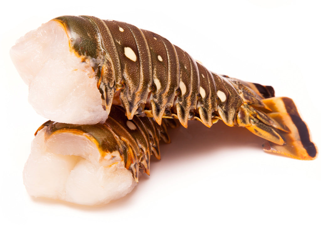 Plump and meaty warm water lobster tails.