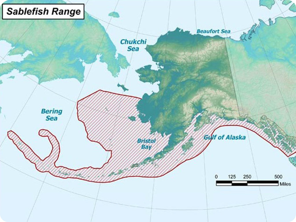 Map of the Gulf of Alaska, Bering Sea, and Bristol Bay where the fresh and wild Sablefish are fished.
