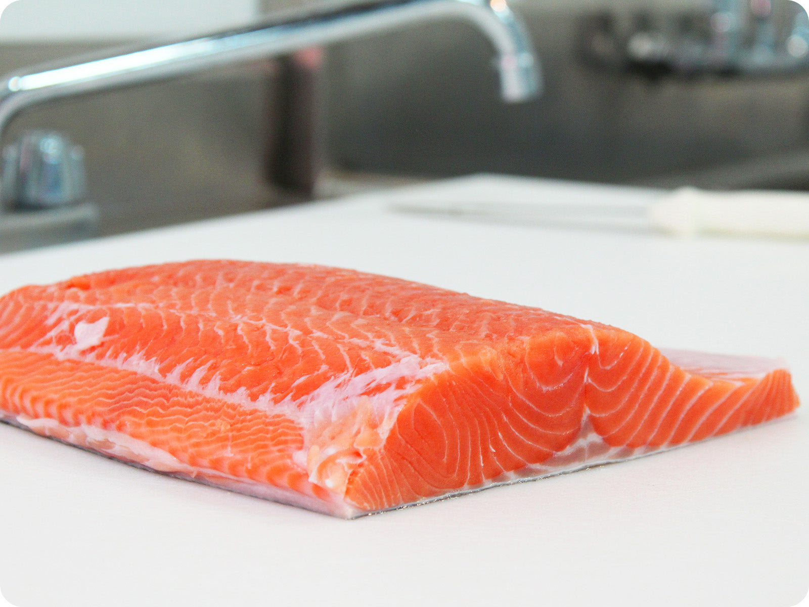 Wild King Salmon Fillet (fresh) - by the pound