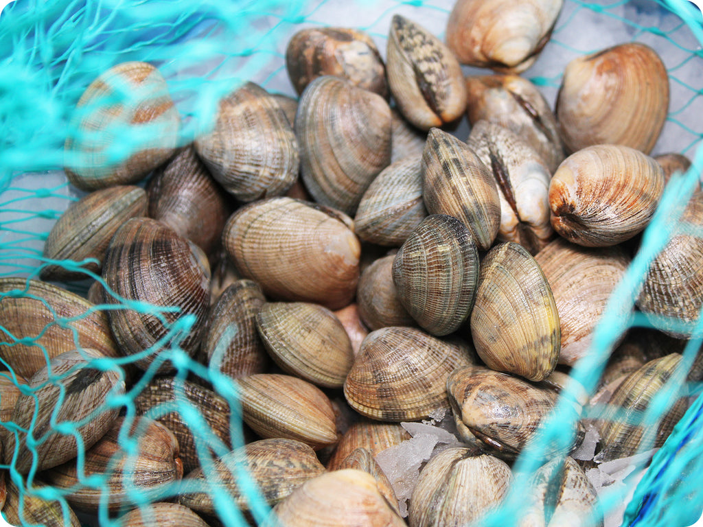 live manila clams in a mesh bag