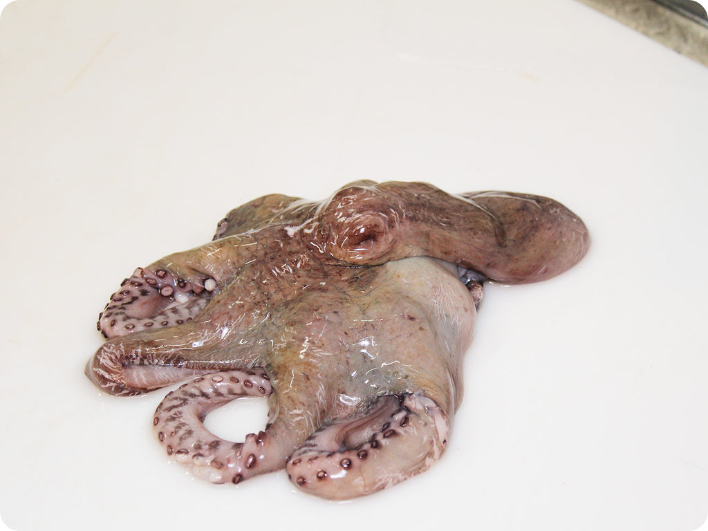 whole pacific octopus on cutting board