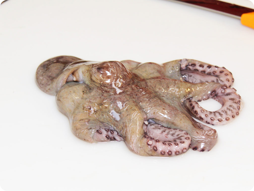 whole pacific octopus on cutting board