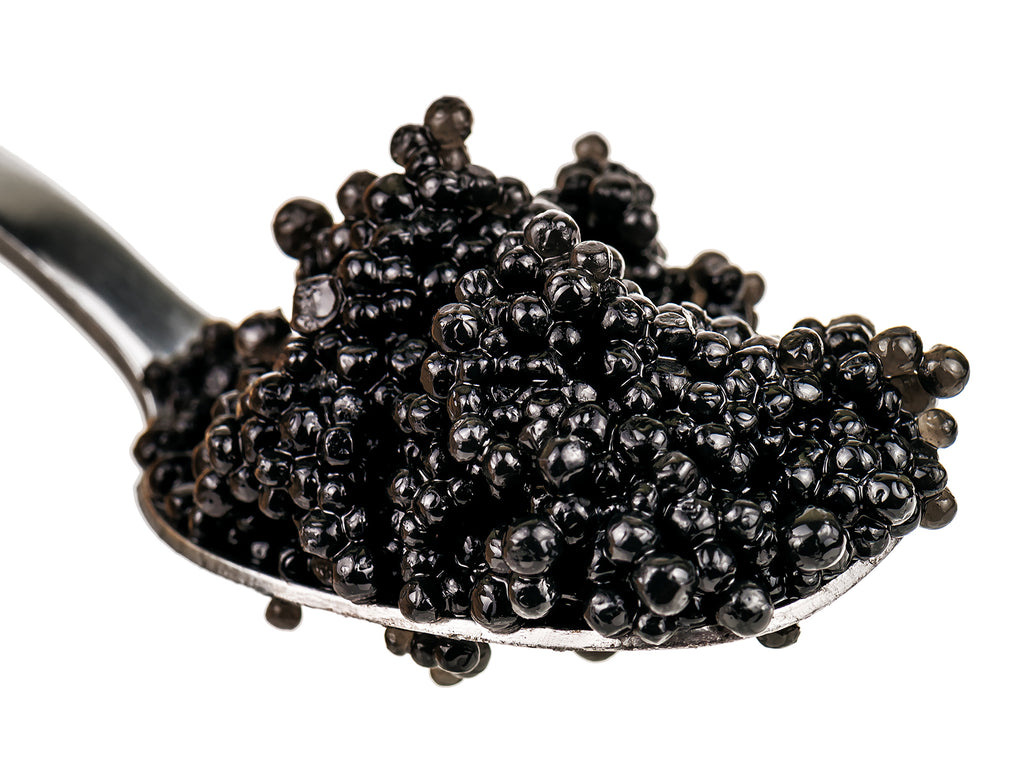Paddlefish Caviar in a silver spoon.