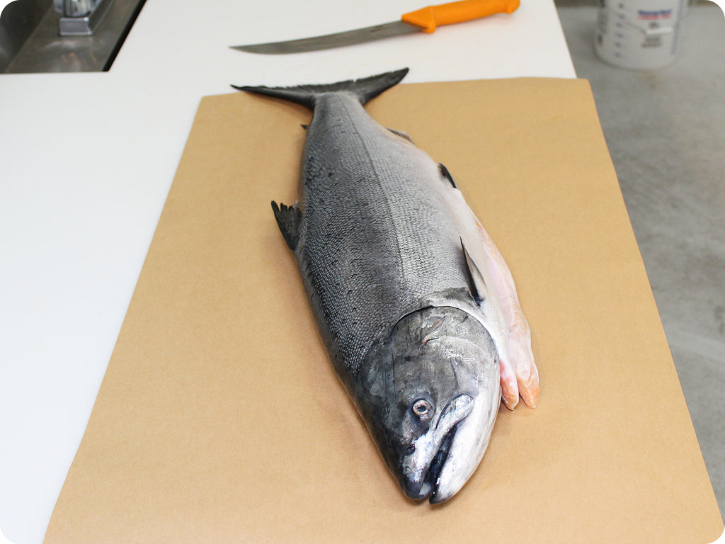 whole fresh king salmon